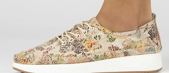 Androna Wierzejska Androna Wierzejska