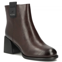 hnědá